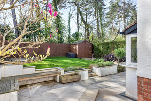 Photo 45- click for photo gallery